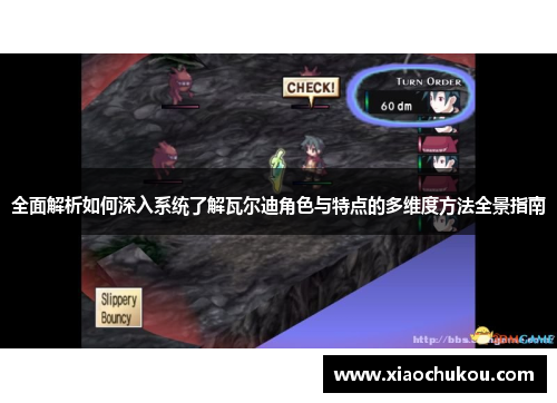 全面解析如何深入系统了解瓦尔迪角色与特点的多维度方法全景指南